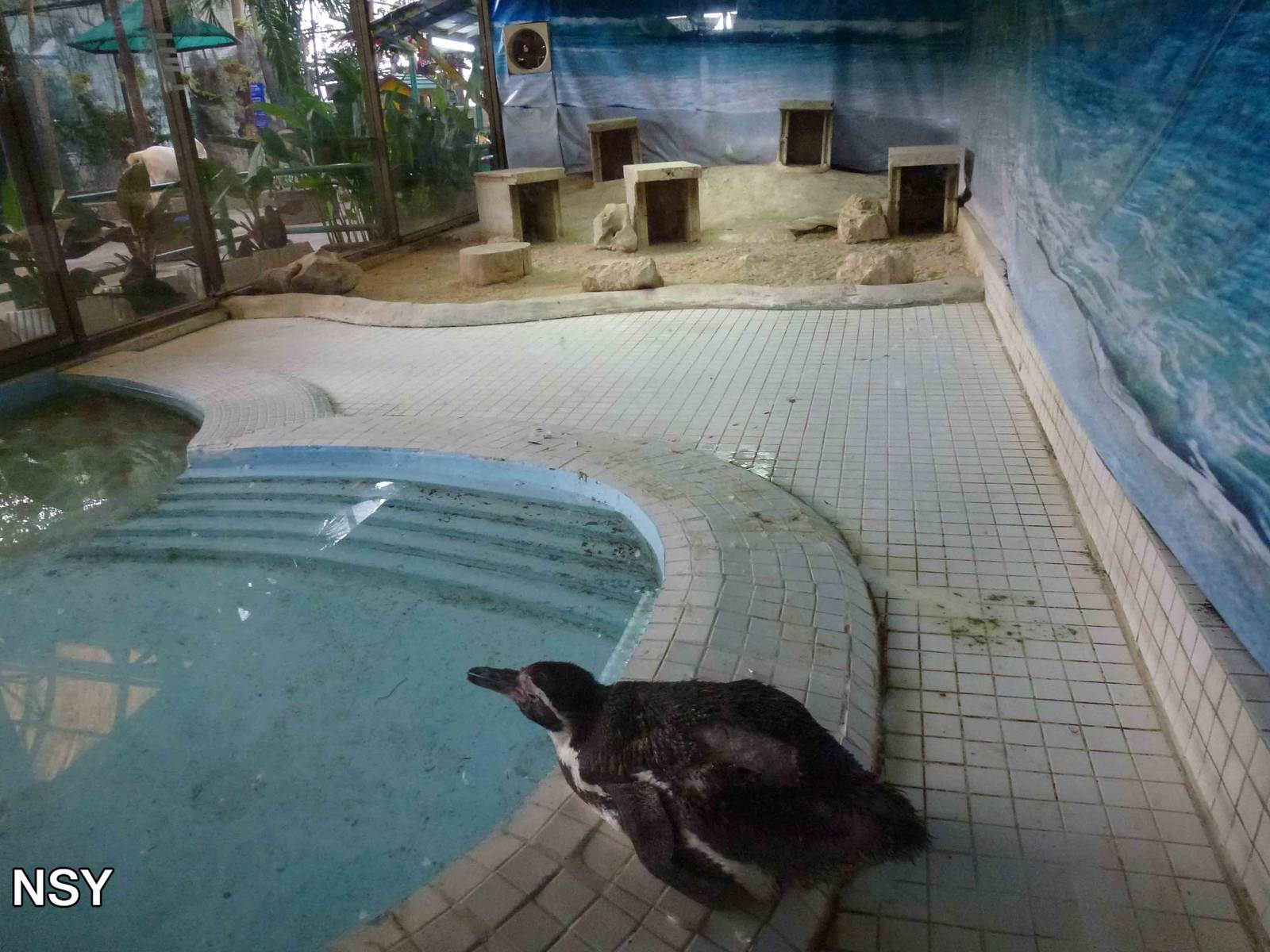 Penguin enclosure, June 2013.
