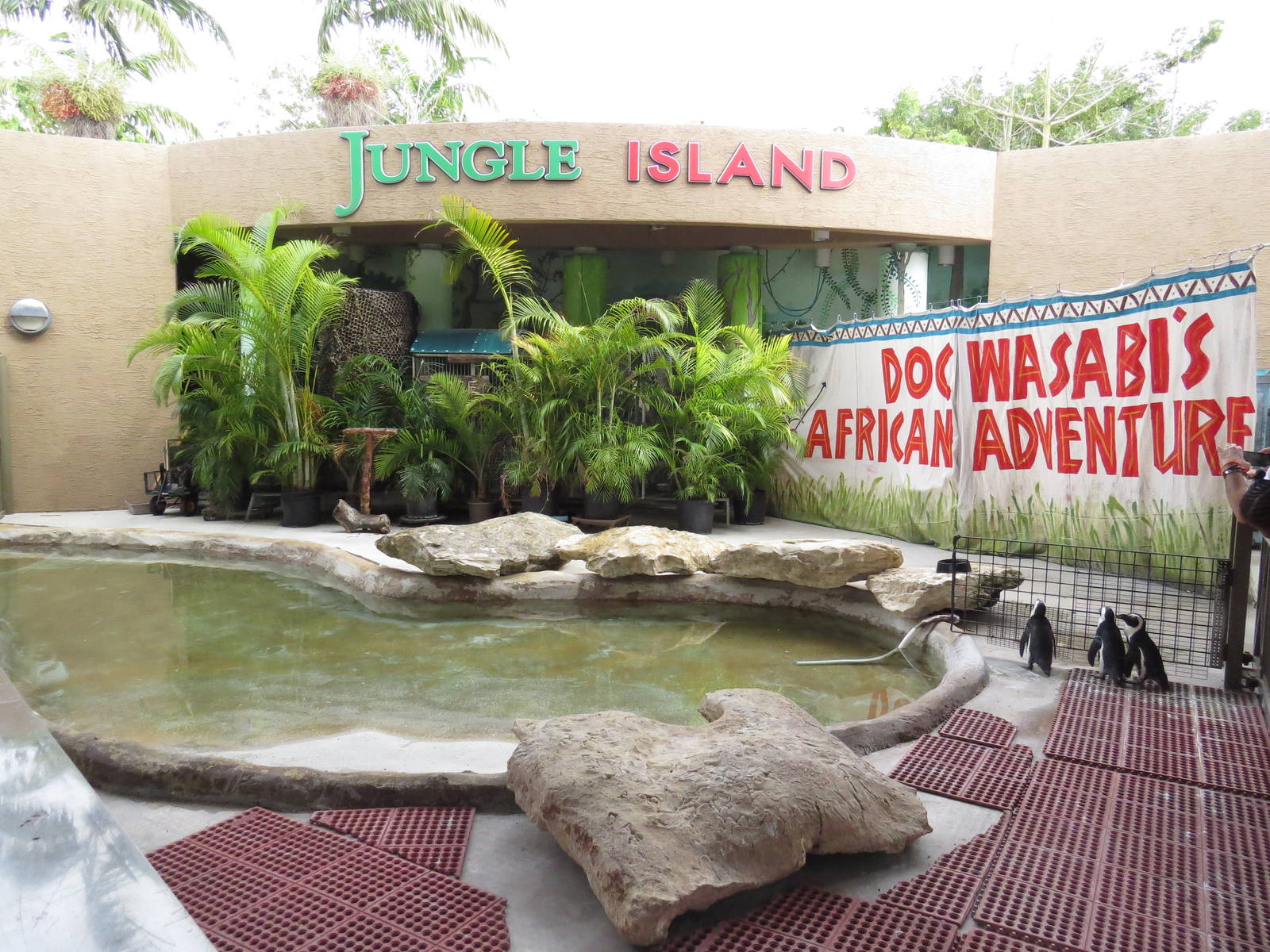 Penguin enclosure, March 2015