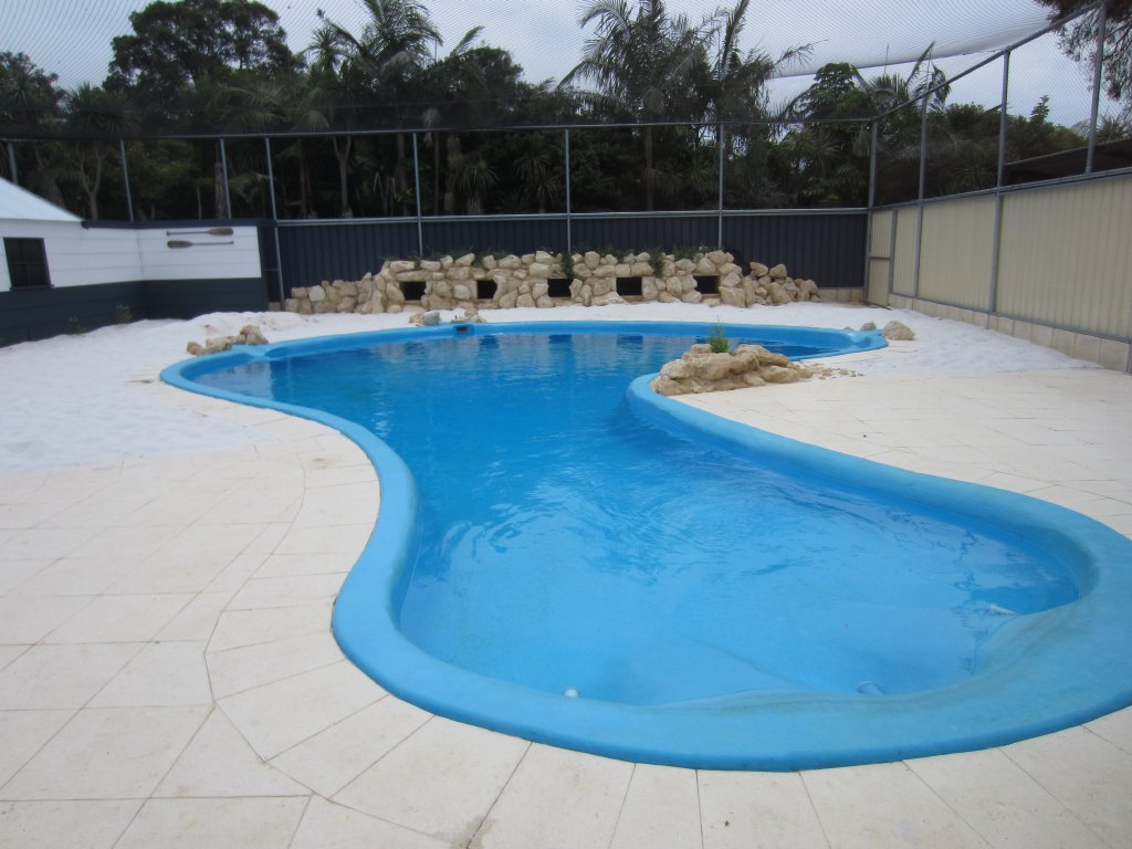 Penguin enclosure nearing completion