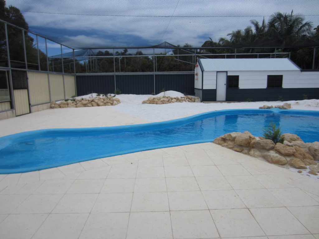 Penguin enclosure nearing completion