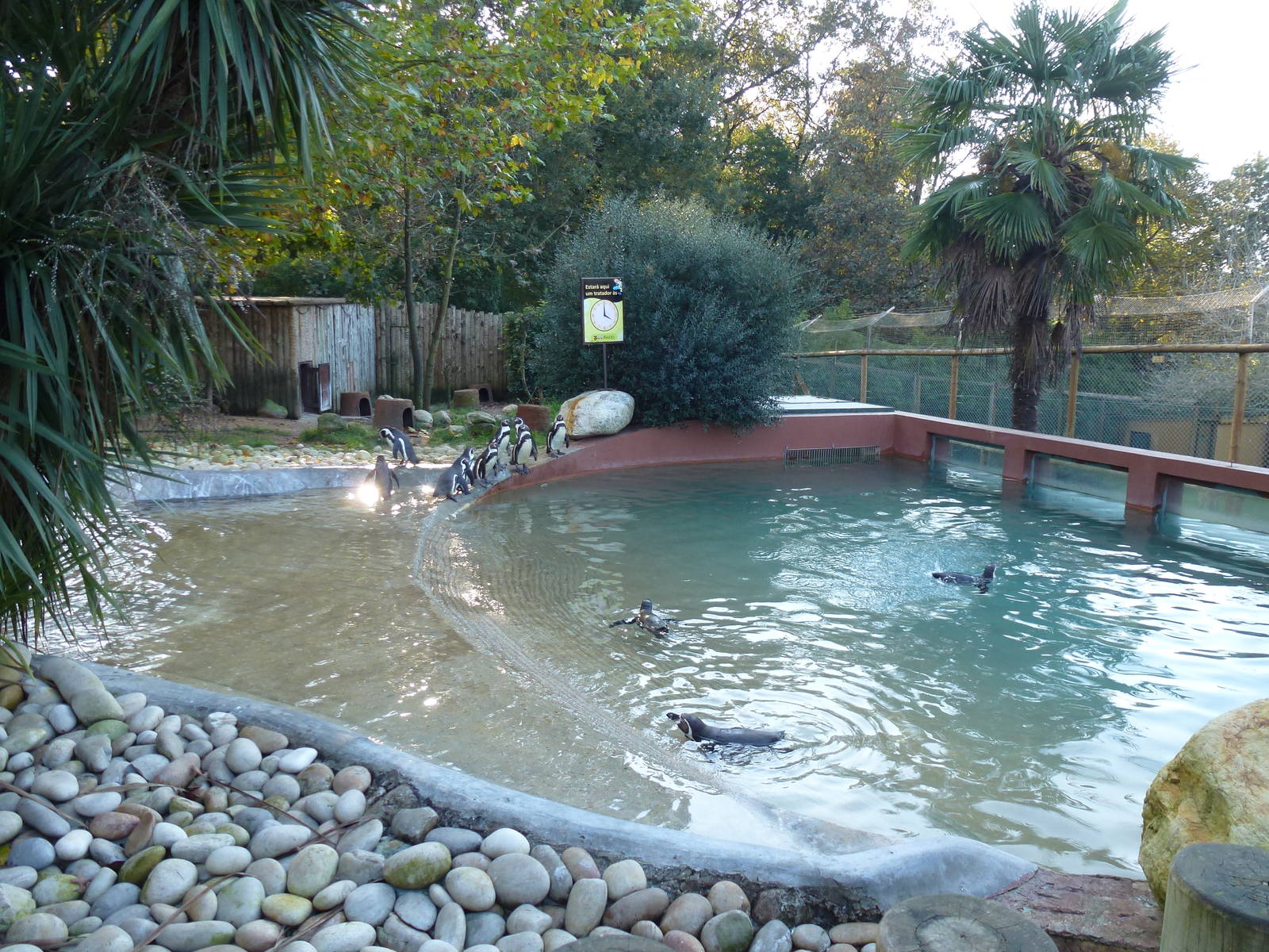 Penguin enclosure, November 2013.