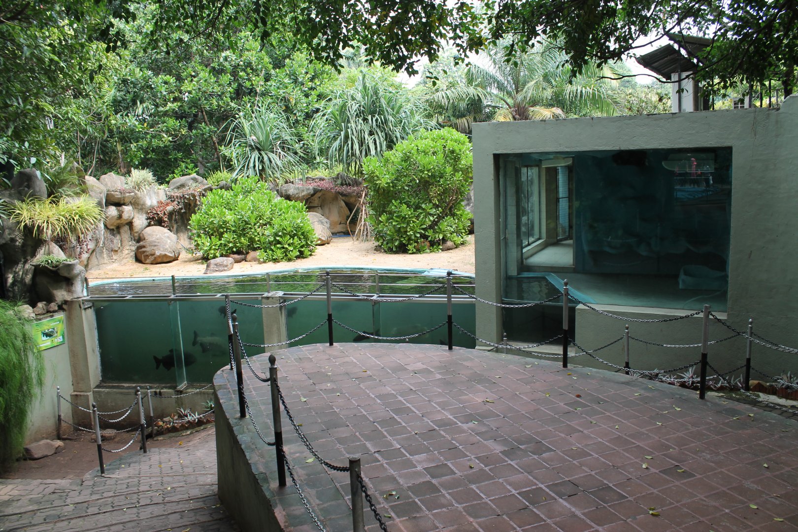 penguin enclosure - now housing Pacu