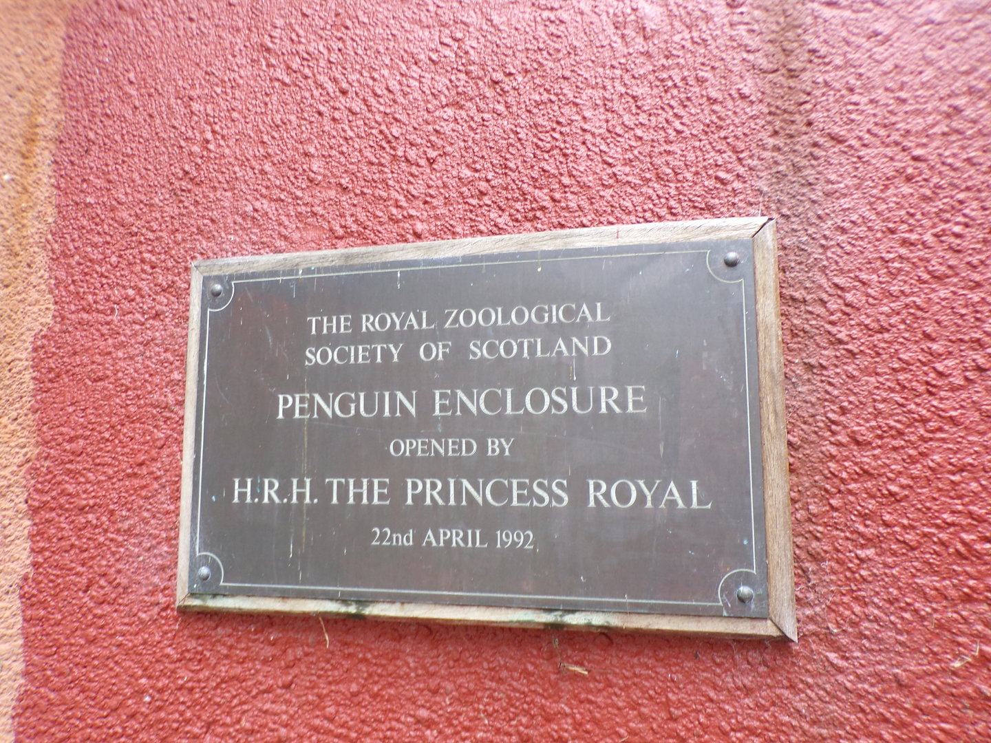 Penguin enclosure opening date