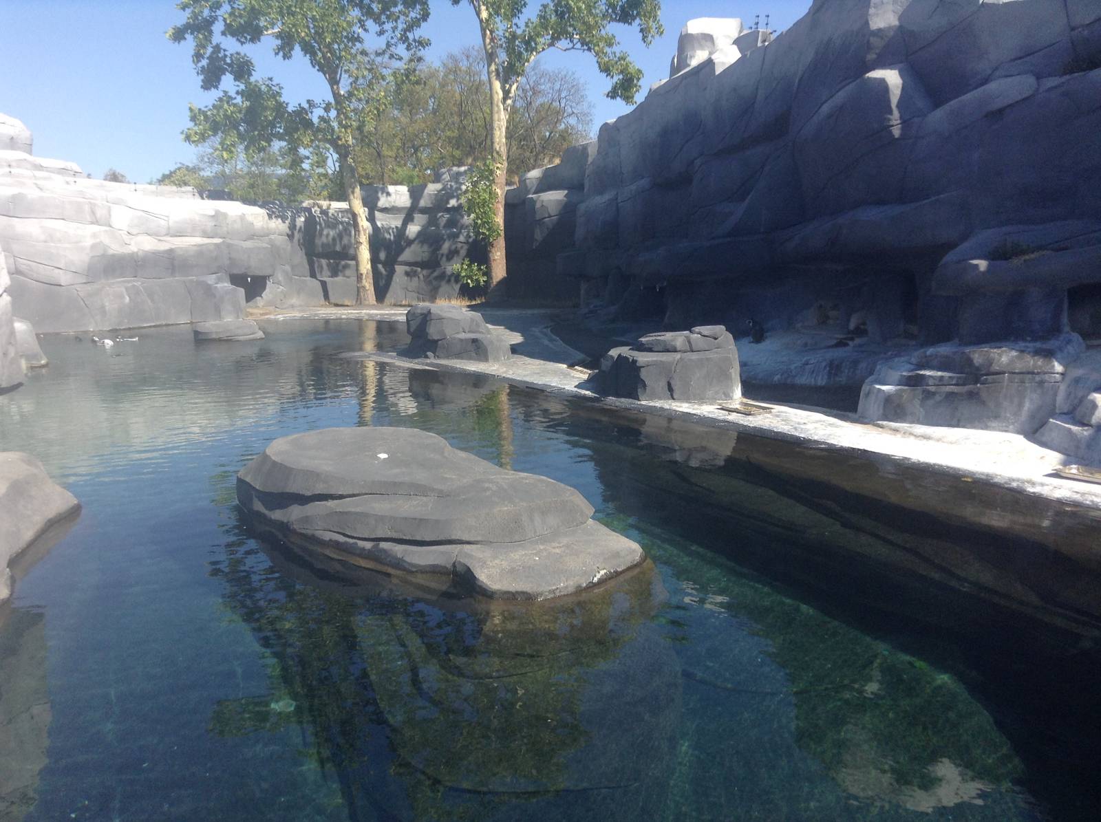Penguin Enclosure - Paris Zoo