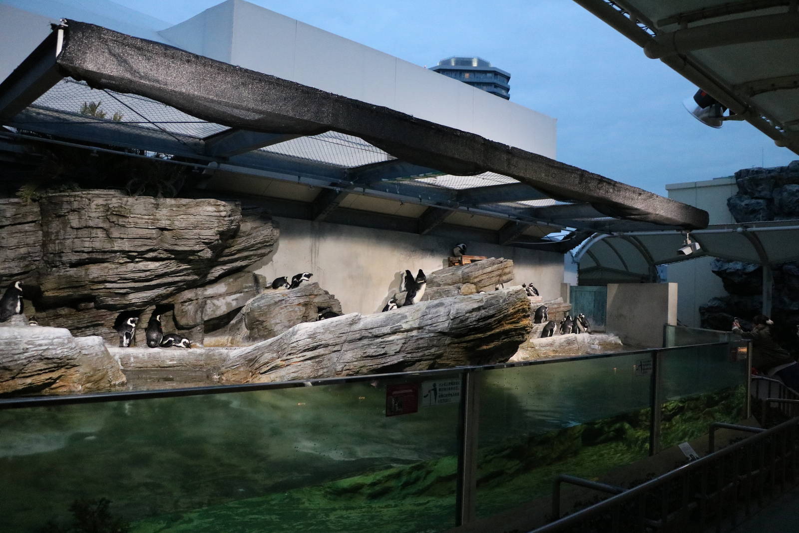 Penguin enclosure - Sunshine Aquarium Tokyo, February 2016