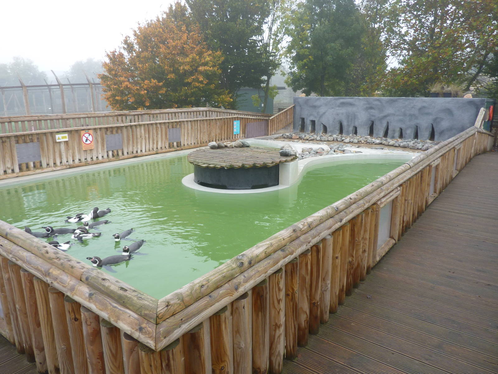 Penguin enclosure (upper level) ,23rd October 2012.