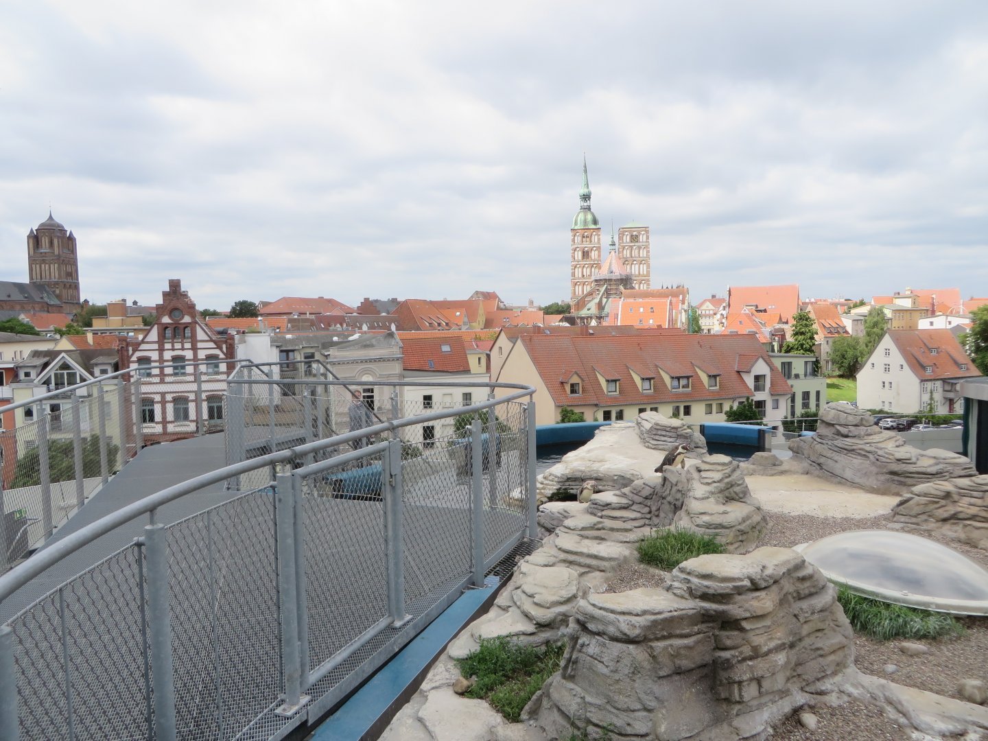 Penguin enclosure with a view