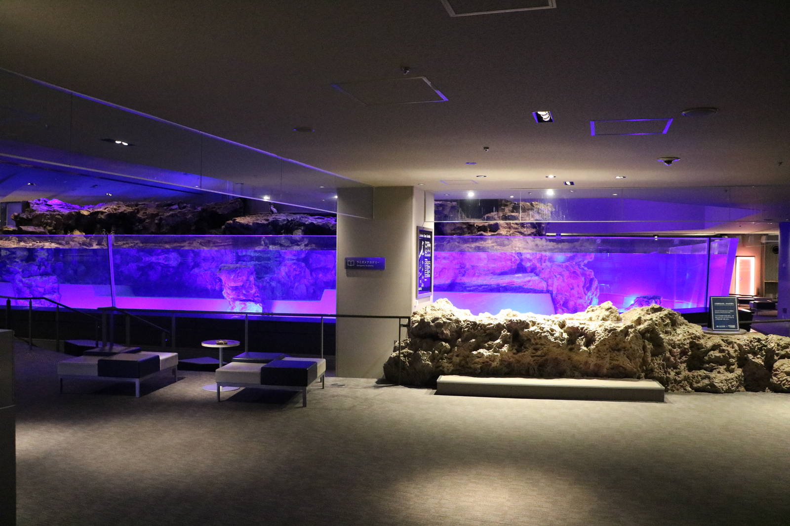 Penguin enclosure with sea turtle touchpools - Sumida Aquarium, February 20