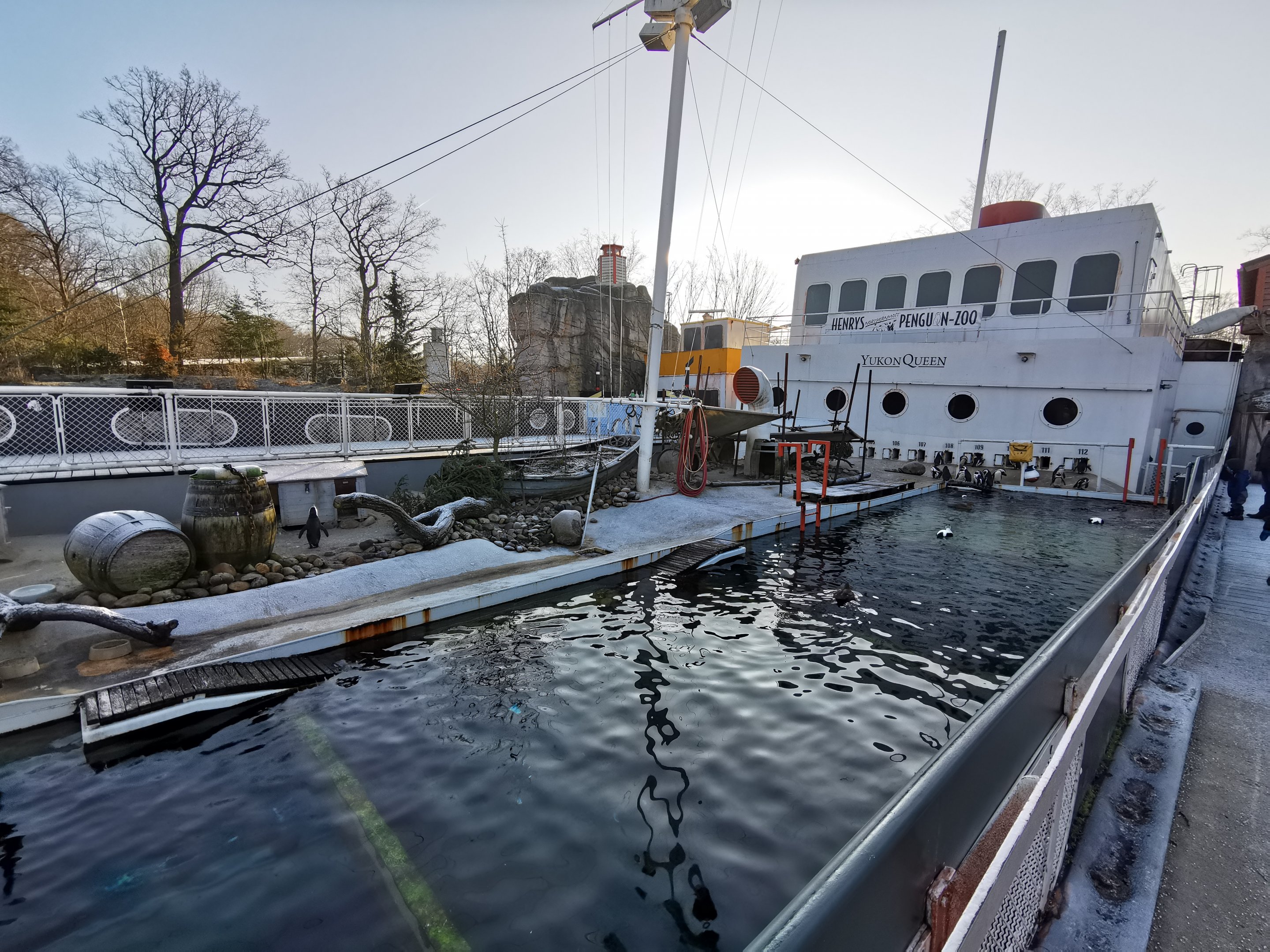 Penguin enclosure - Yukon Bay