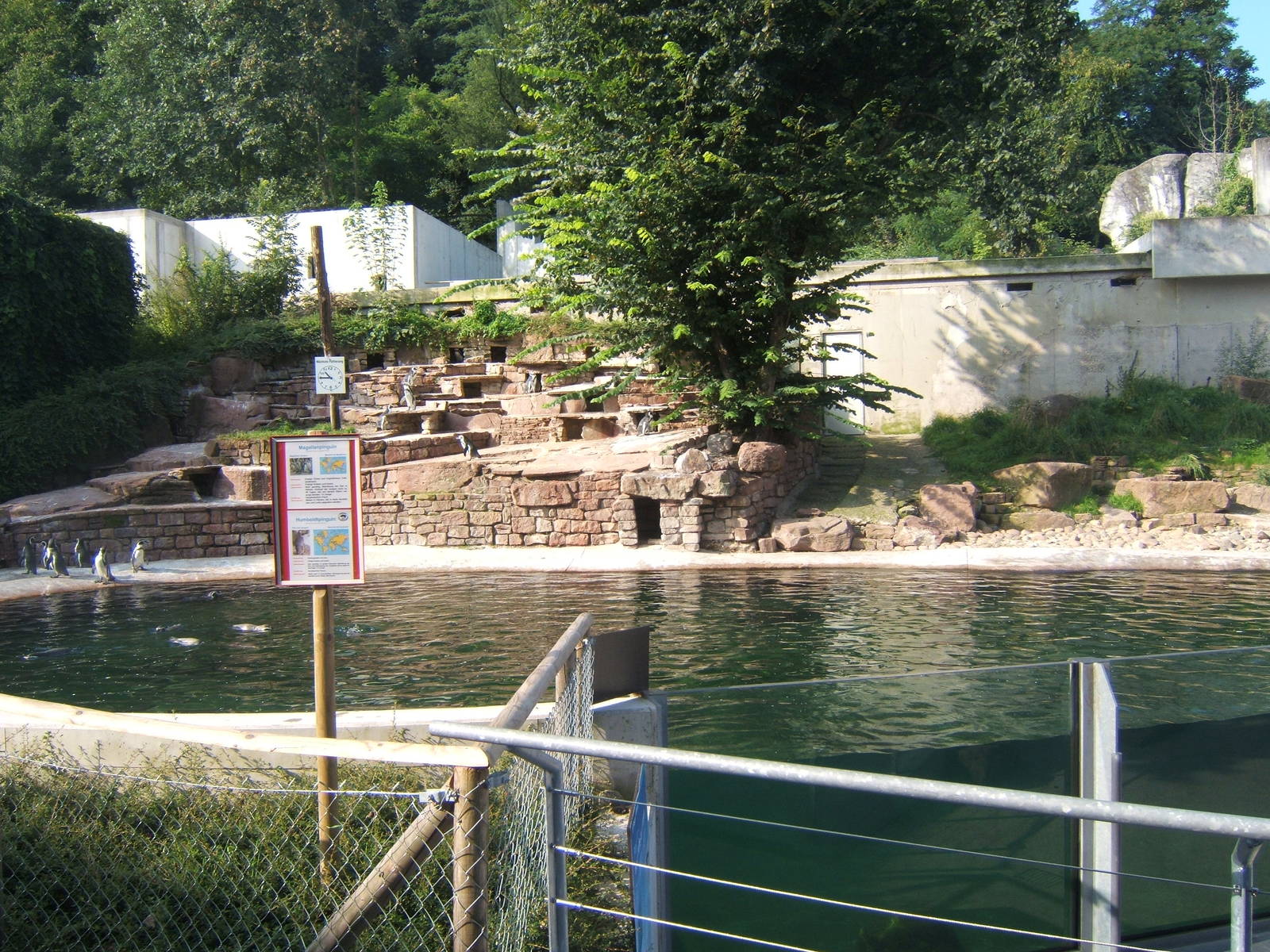 Penguin enclosure