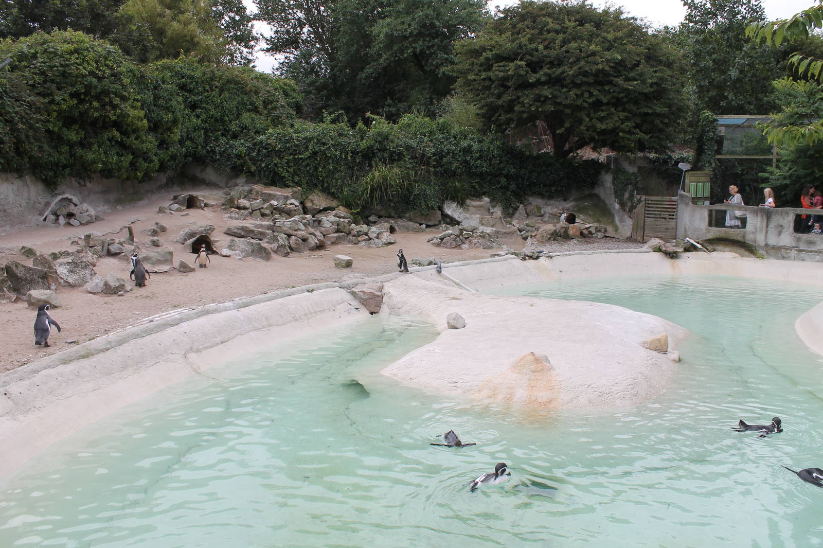 Penguin enclosure