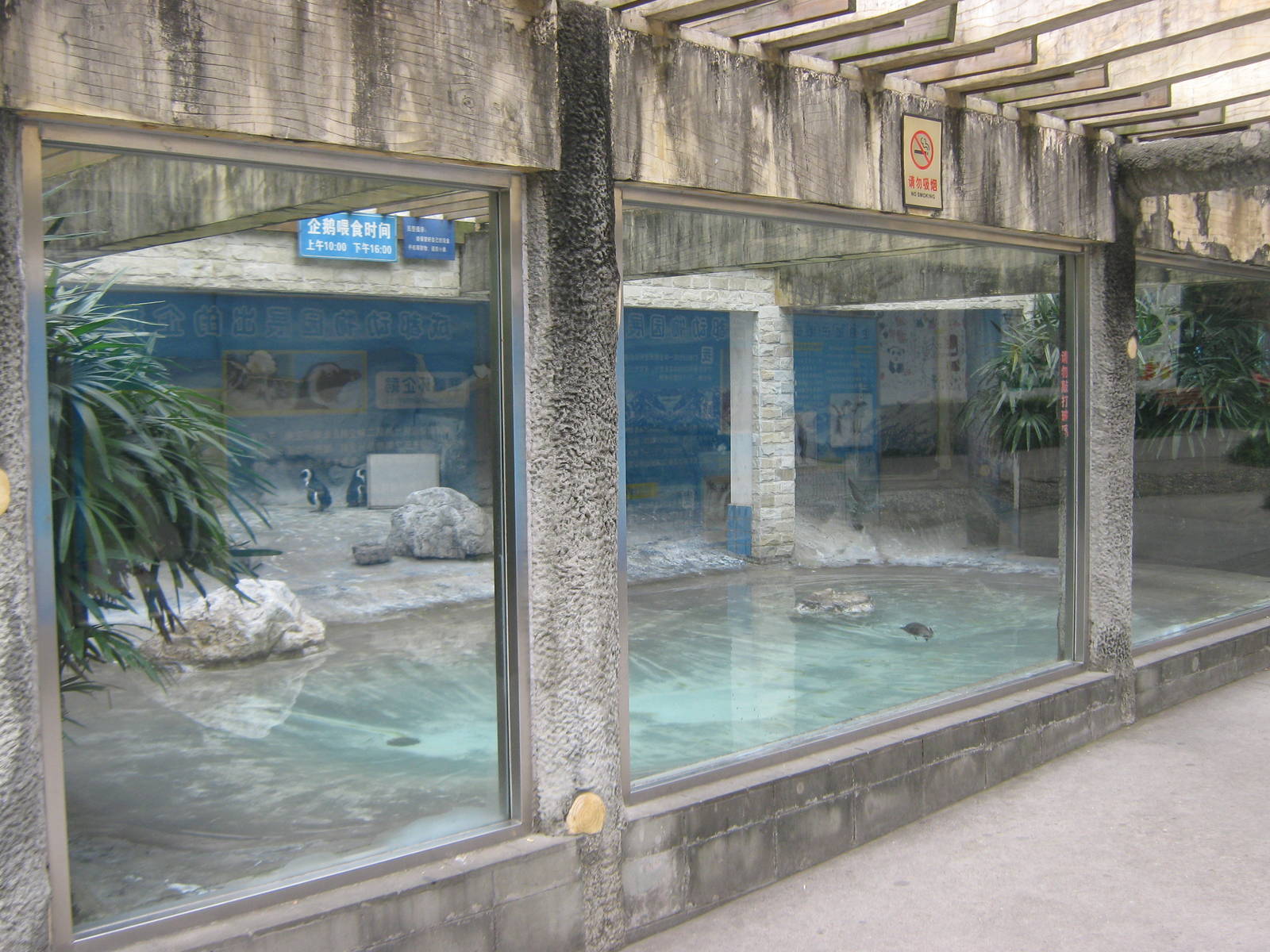 penguin enclosure