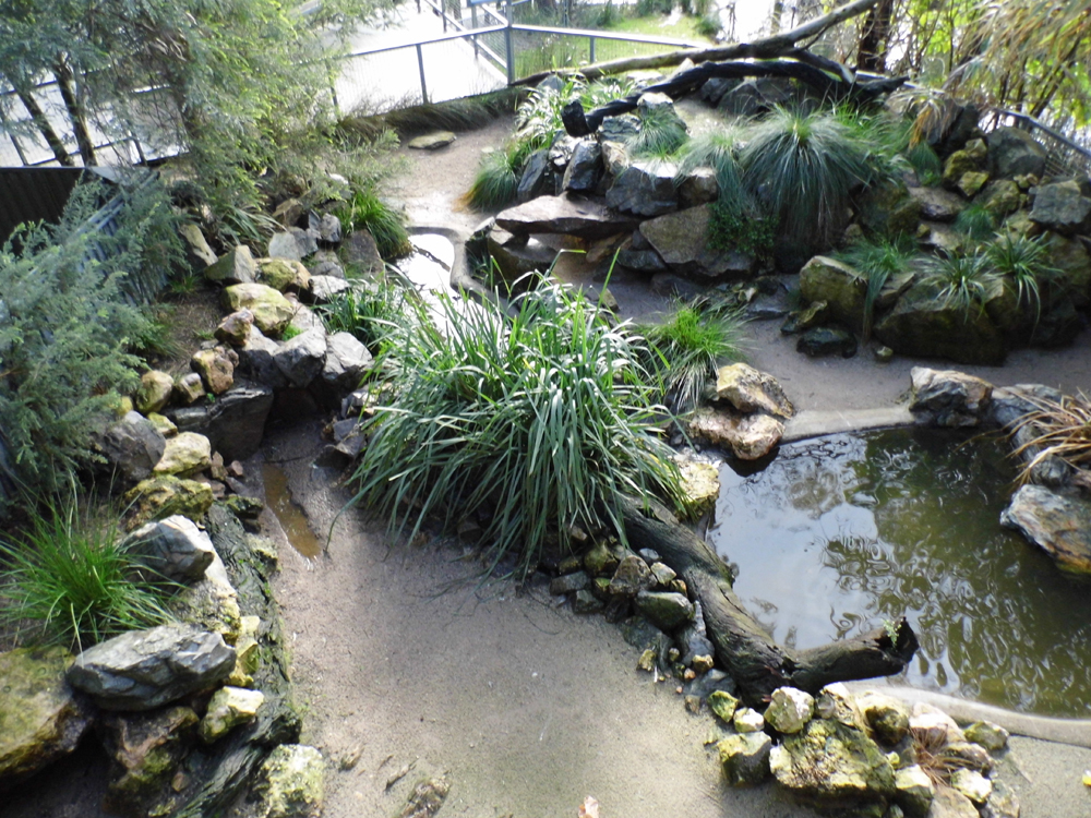 Penguin Enclosure