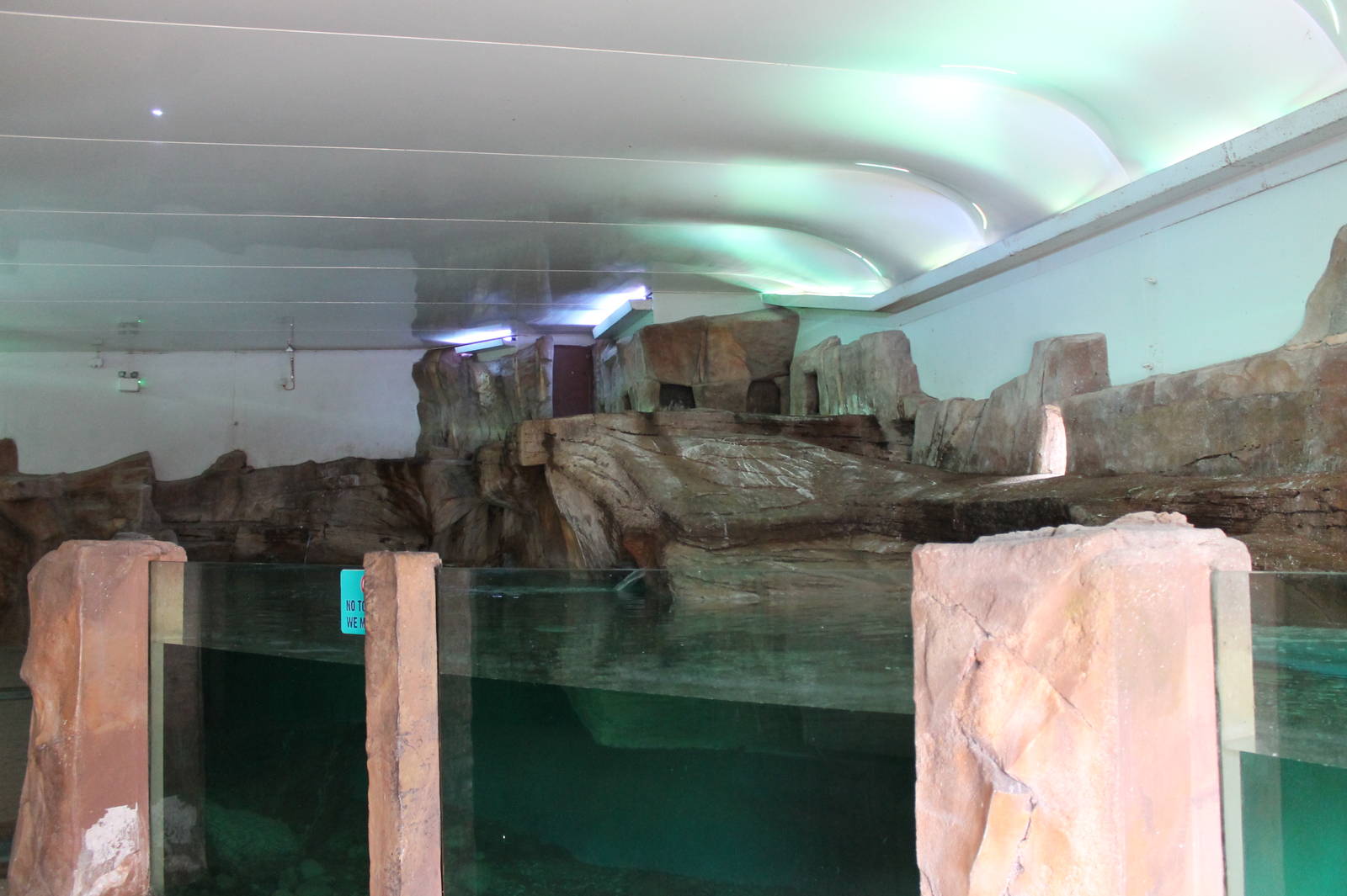 Penguin enclosure