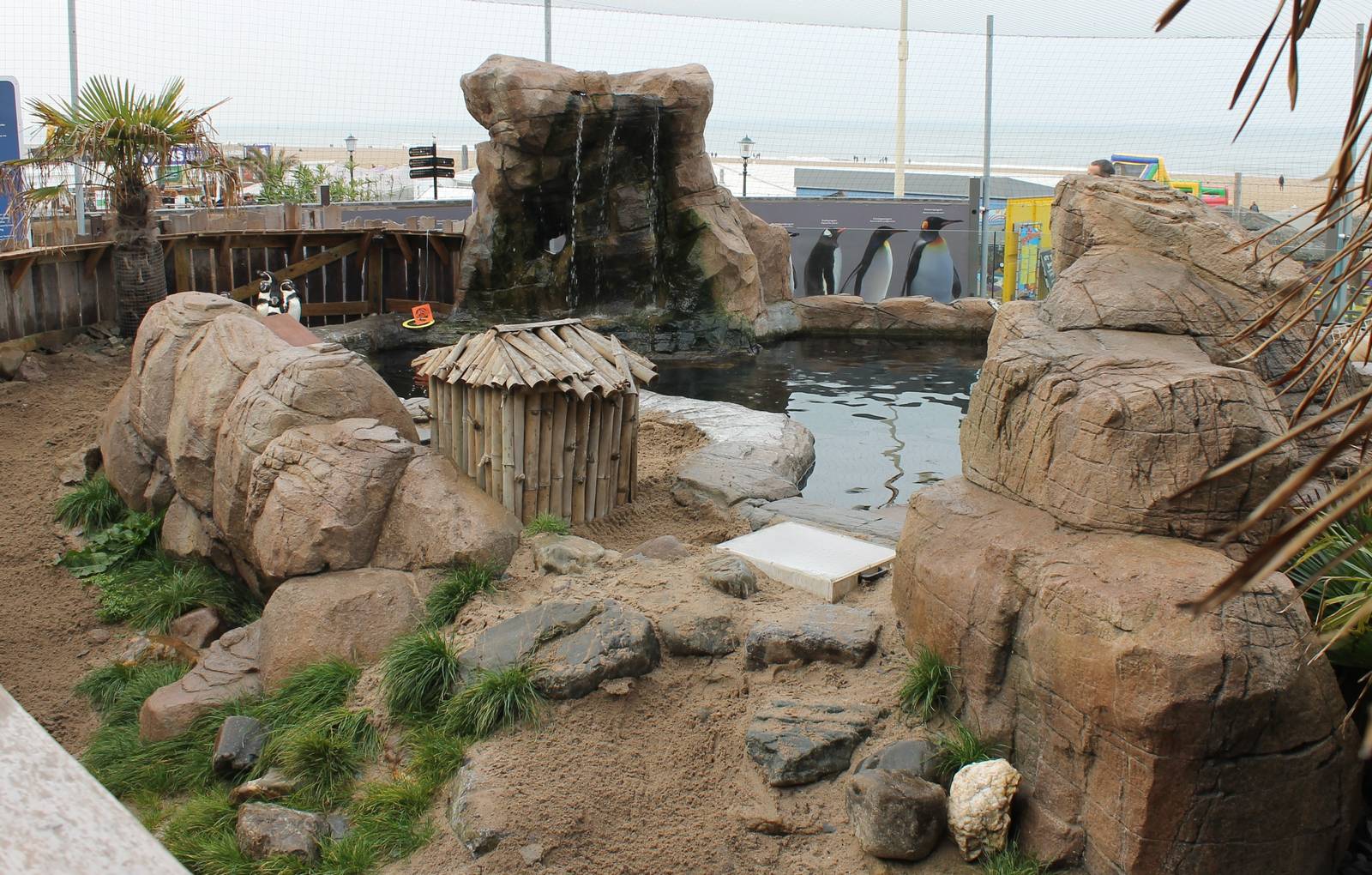 Penguin enclosure