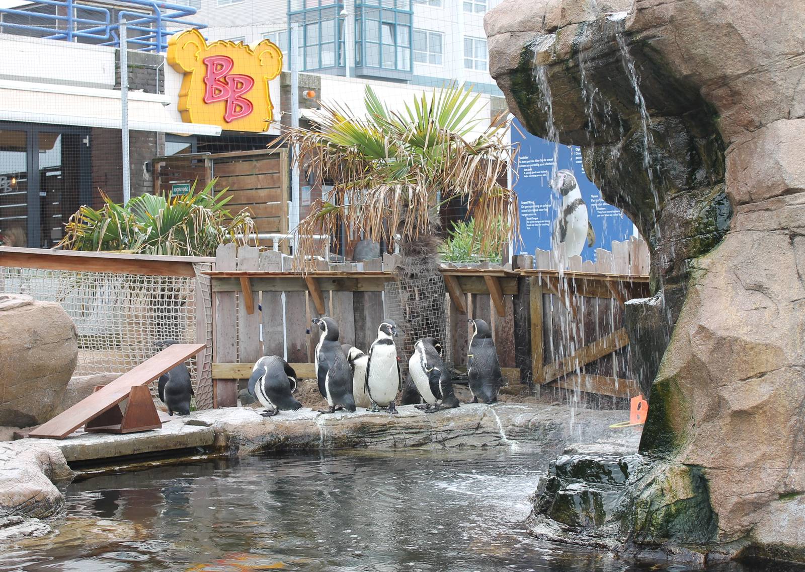 Penguin enclosure