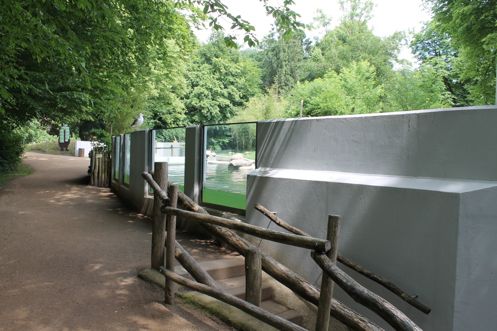 Penguin Enclosure