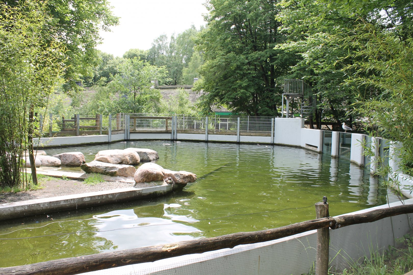 Penguin-enclosure