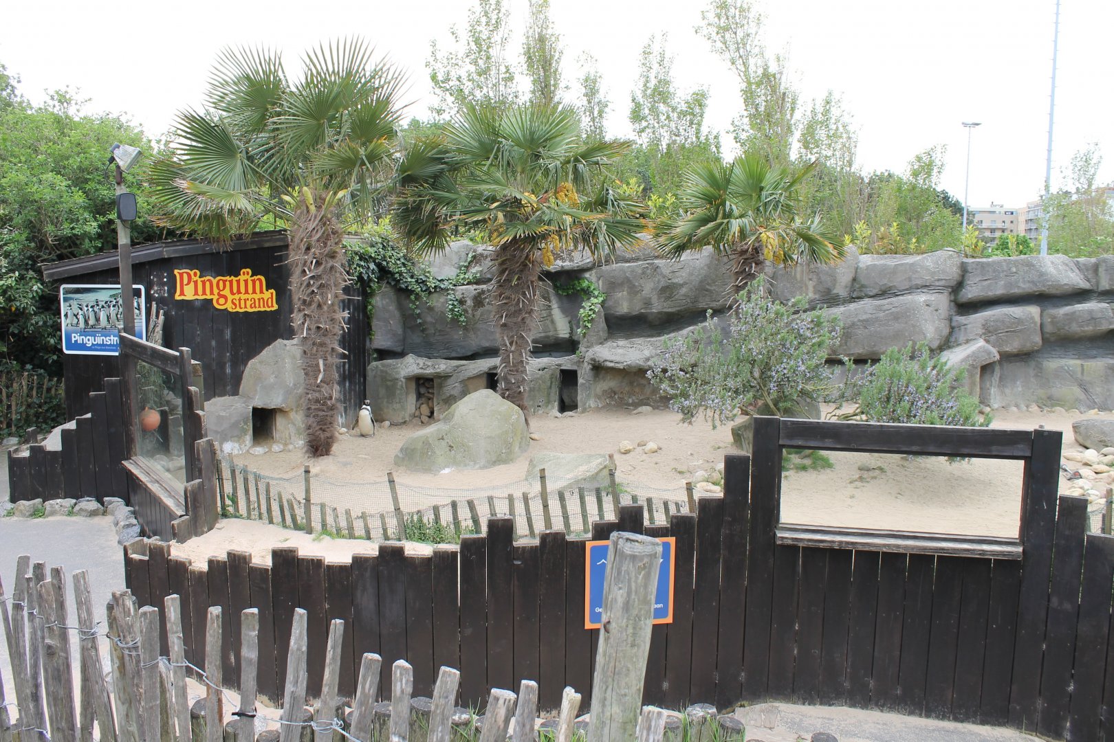 Penguin-enclosure