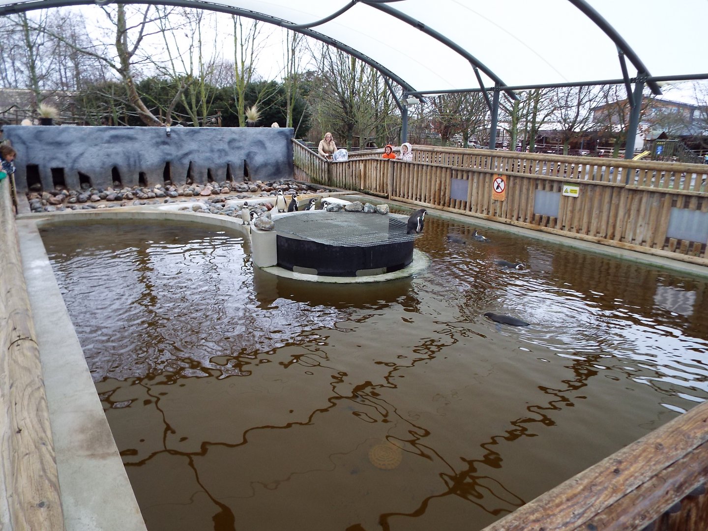 Penguin Enclosure