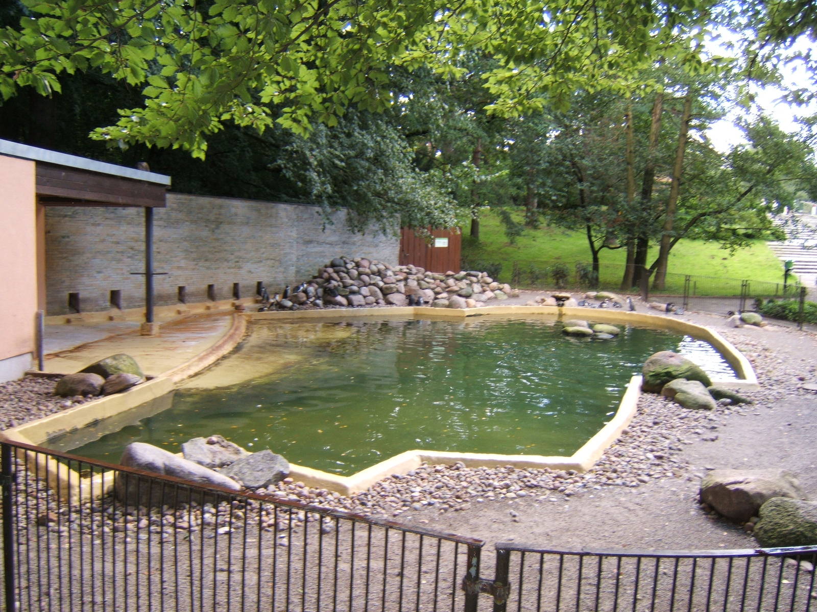 Penguin enclosure