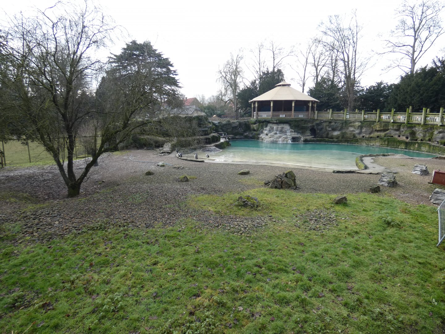 Penguin enclosure