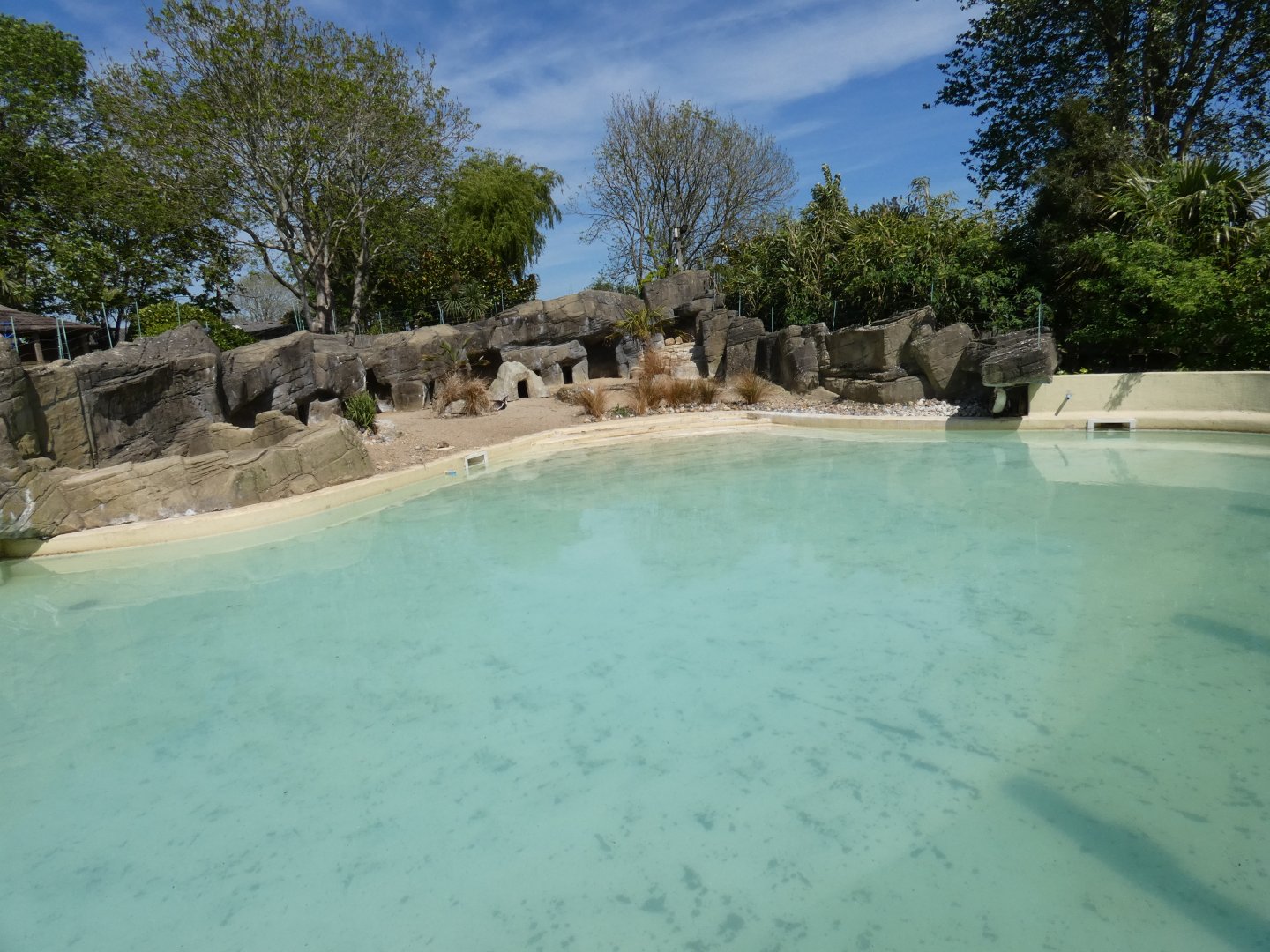 Penguin enclosure