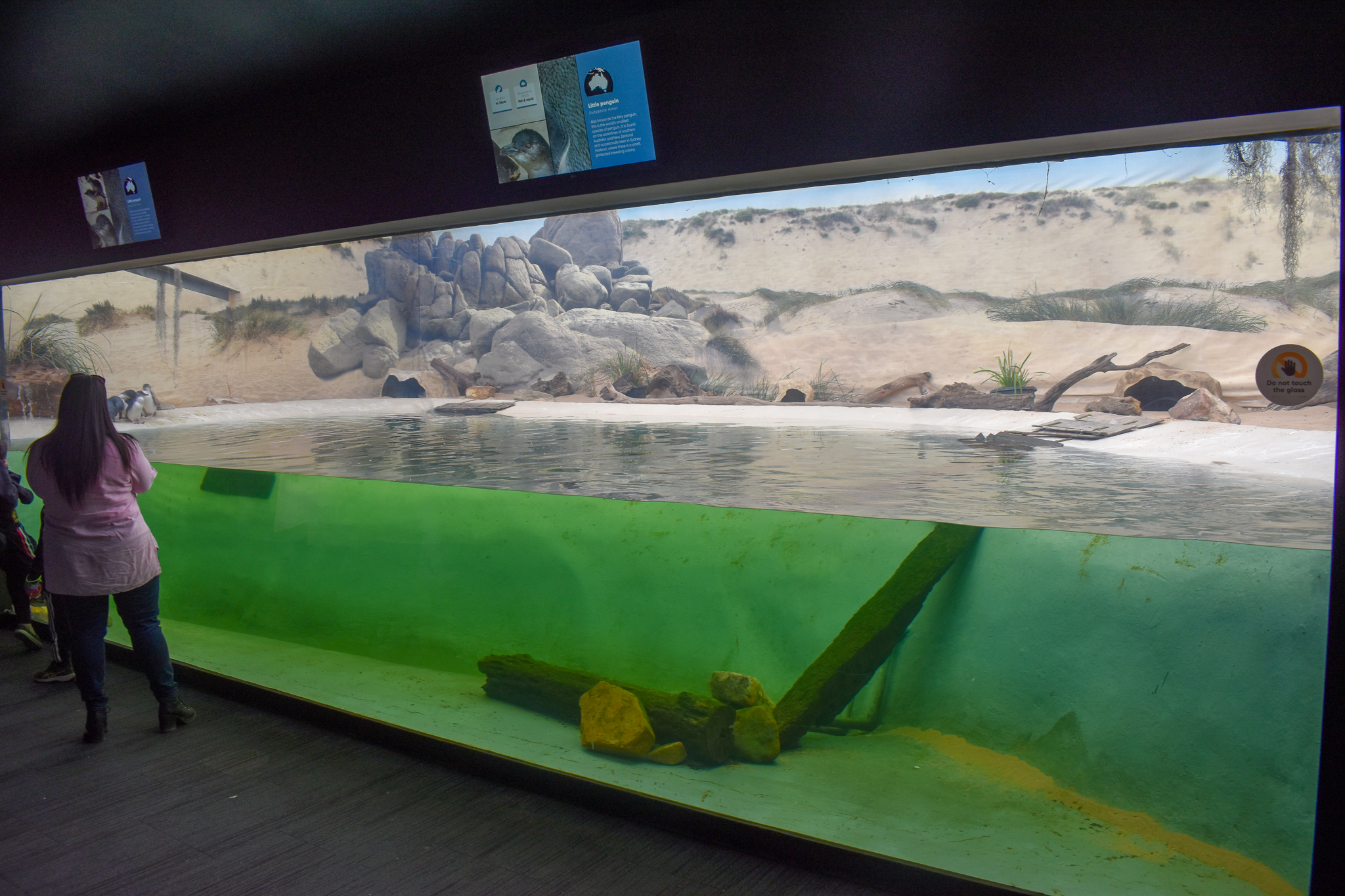 Penguin Enclosure
