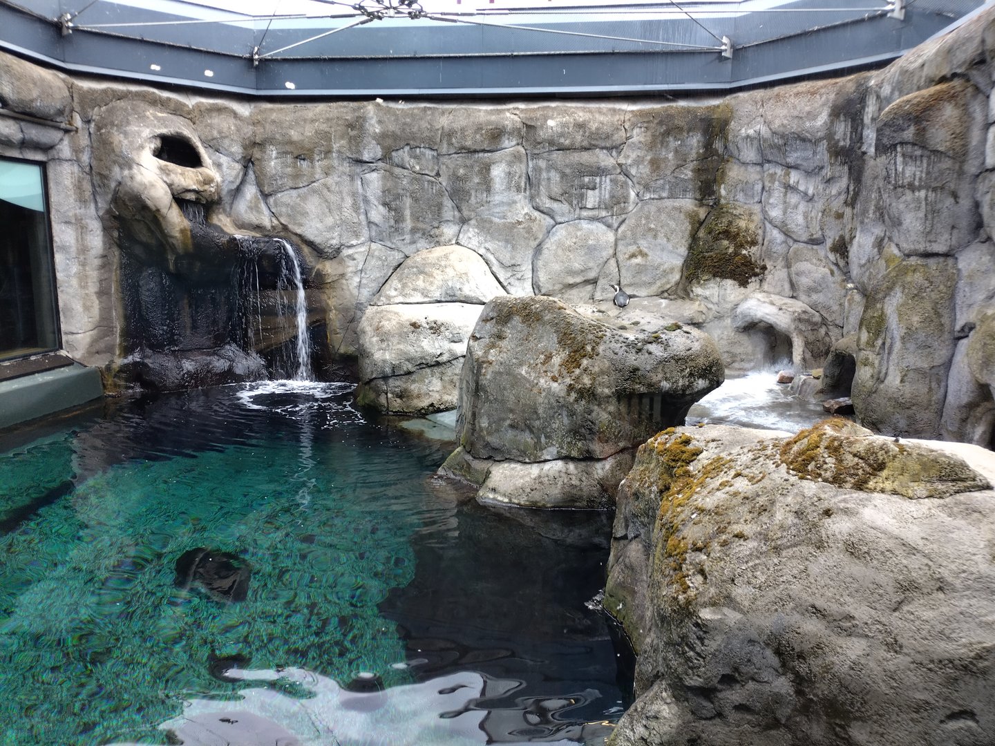 Penguin enclosure