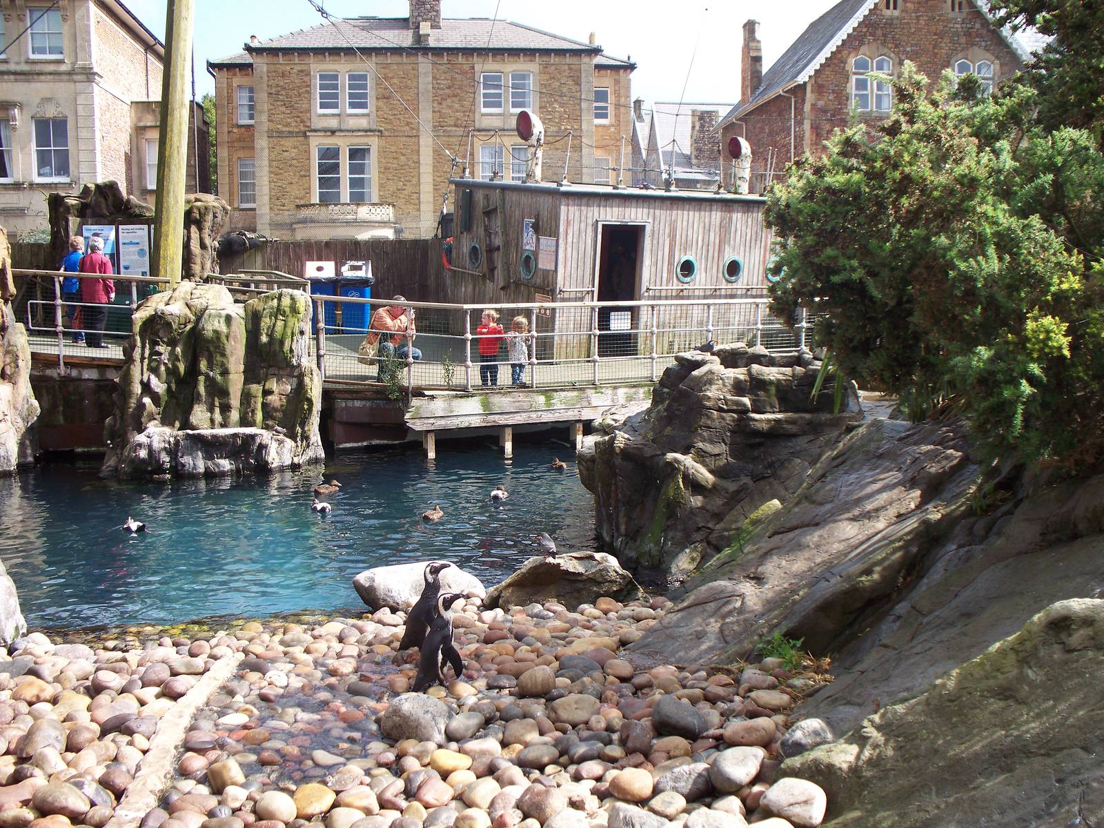 Penguin enclosure.