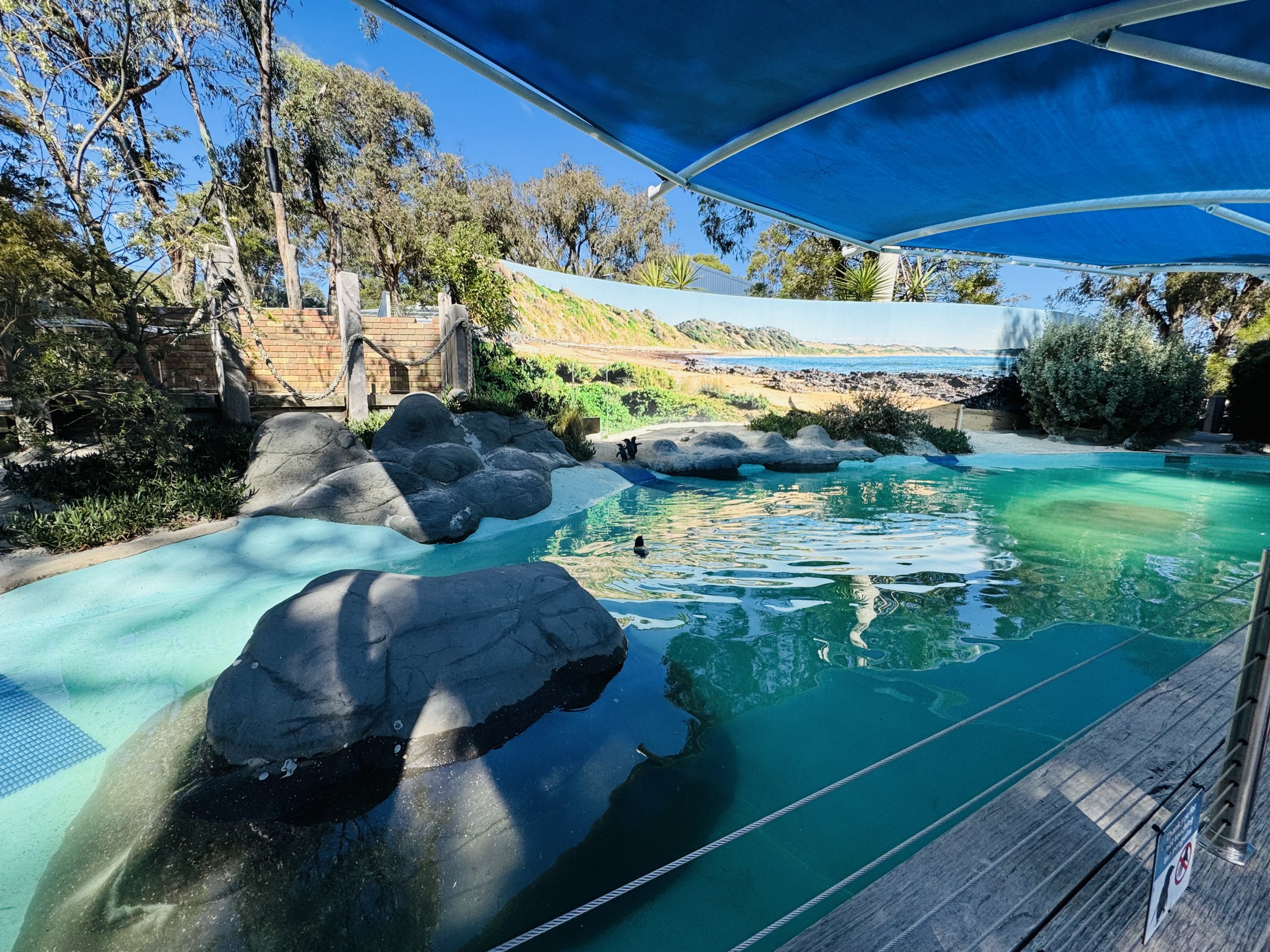 Penguin enclosure