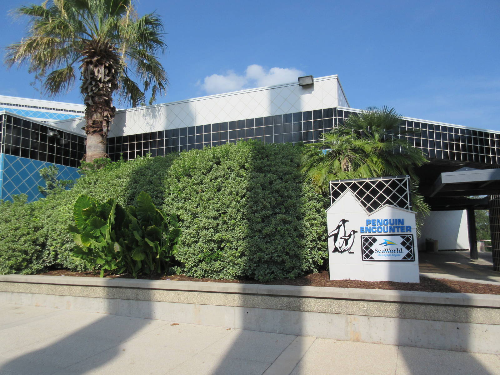 Penguin Encounter - Building