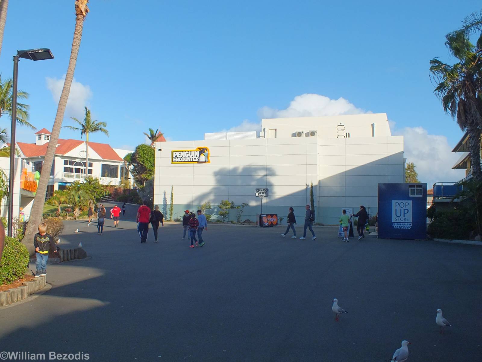 Penguin Encounter Building