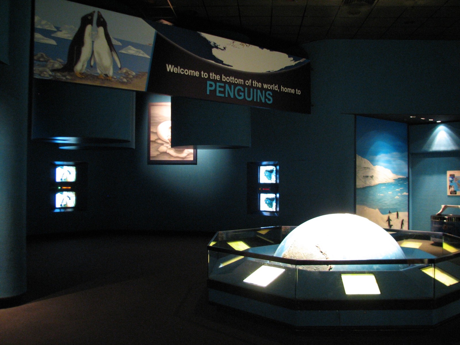 Penguin Encounter - Education Room