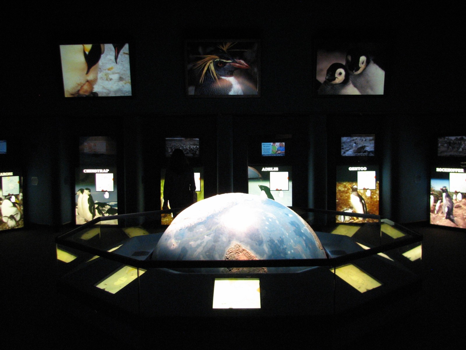 Penguin Encounter - Education Room