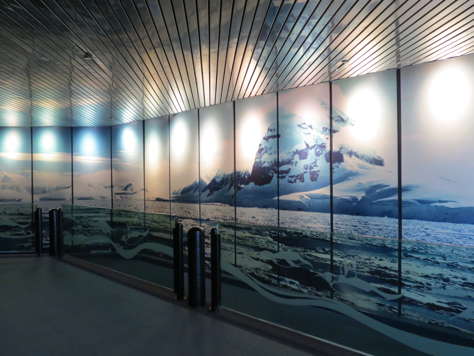 Penguin Encounter - Entrance