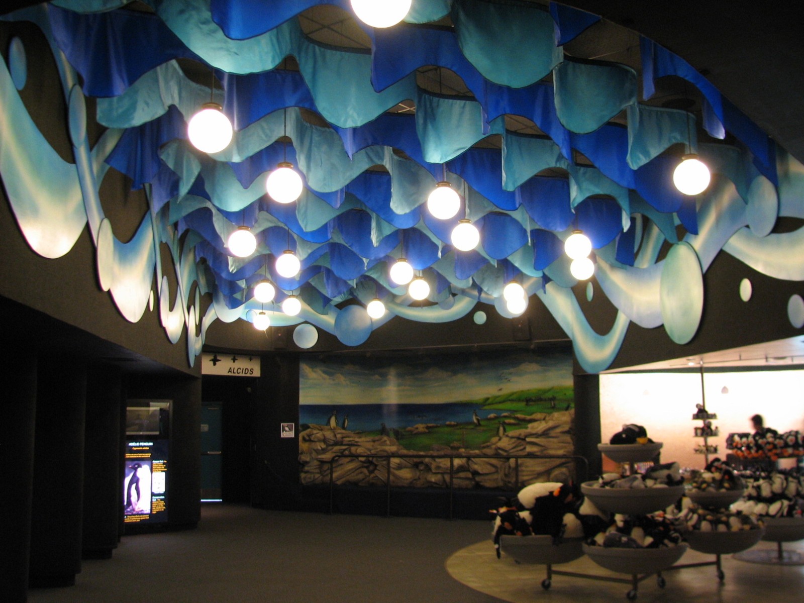 Penguin Encounter - Graphics Room