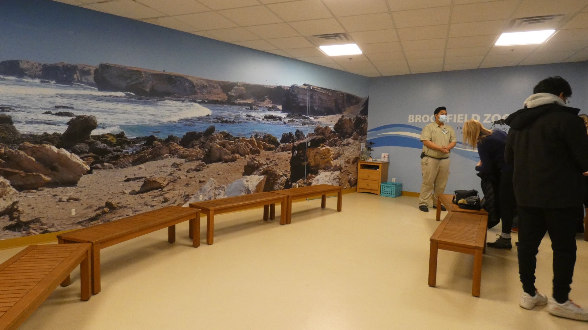 Penguin Encounter, Living Coast - Nov. 2021