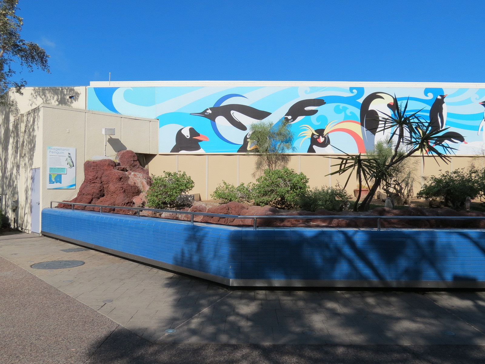 Penguin Encounter - Magellanic Penguin Exhibit