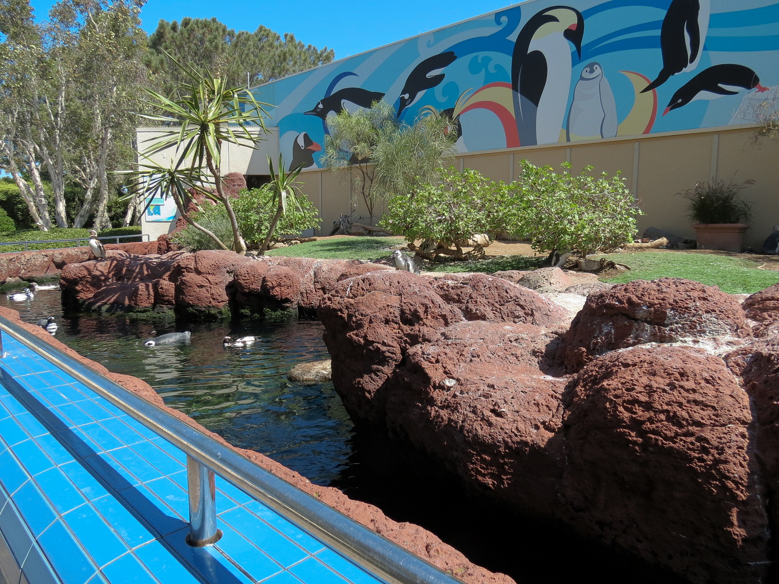 Penguin Encounter - Magellanic Penguin Exhibit