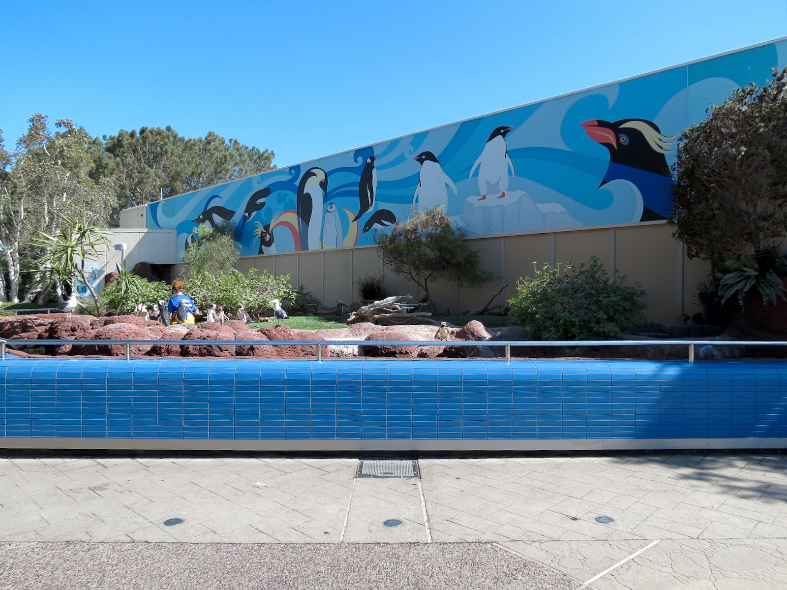 Penguin Encounter - Magellanic Penguin Exhibit