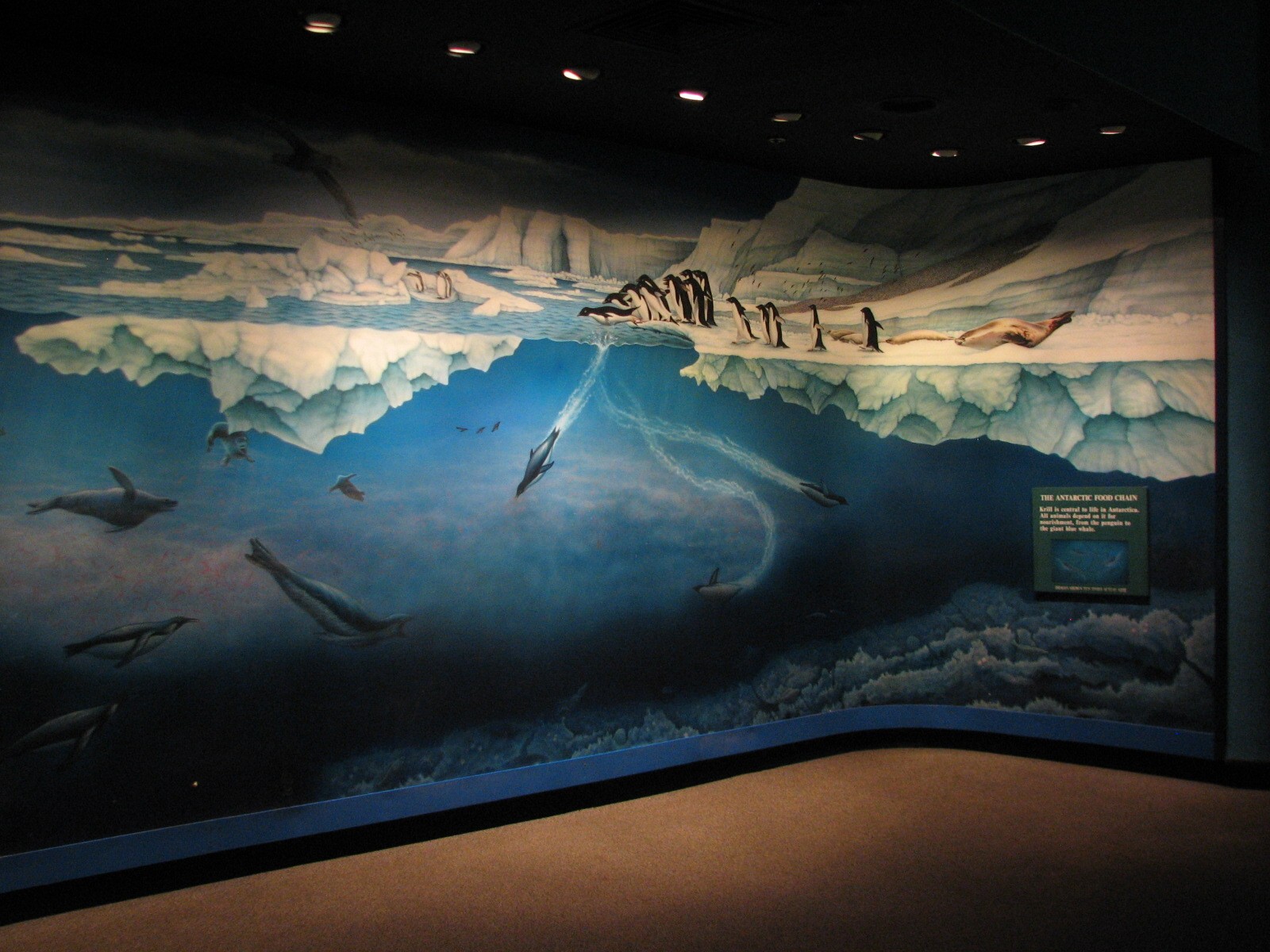 Penguin Encounter - Mural