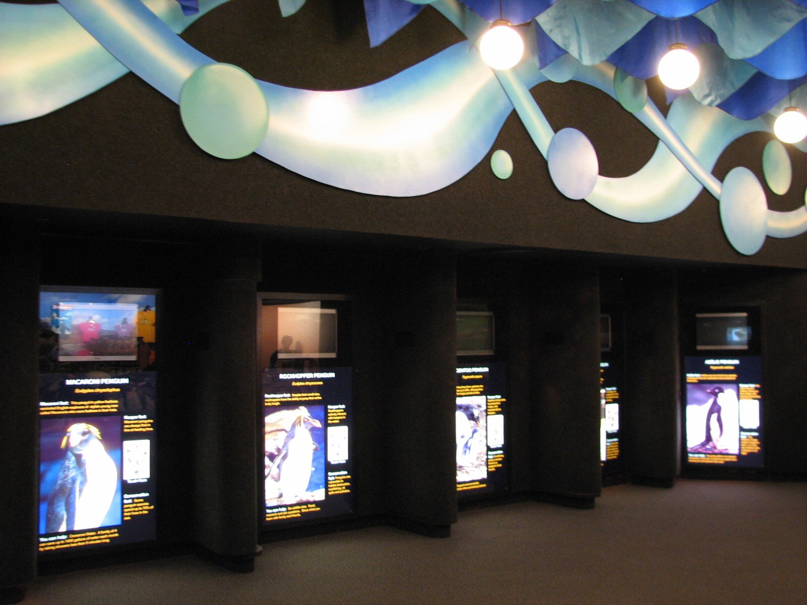 Penguin Encounter - Penguin Graphics