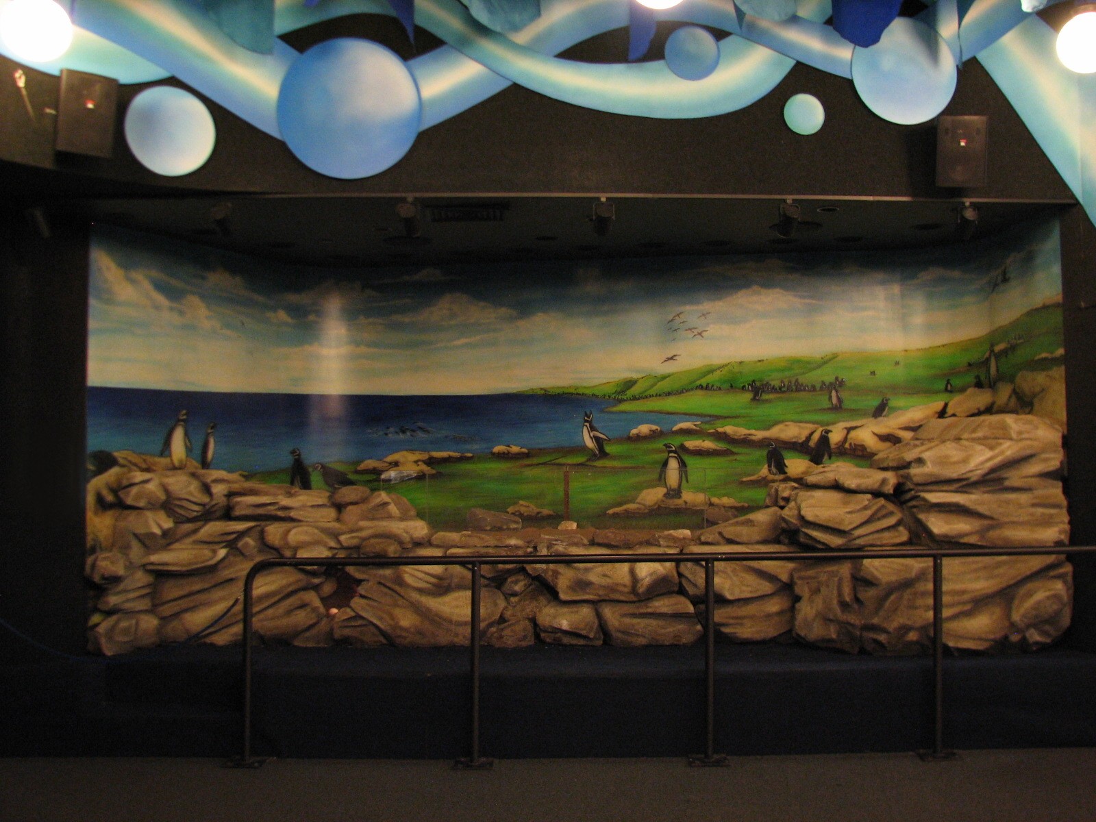 Penguin Encounter - Penguin Graphics