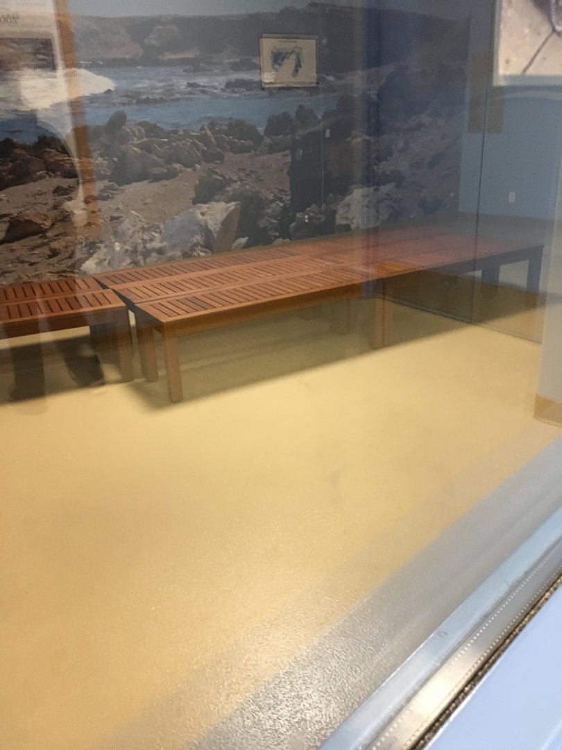 Penguin Encounter Room