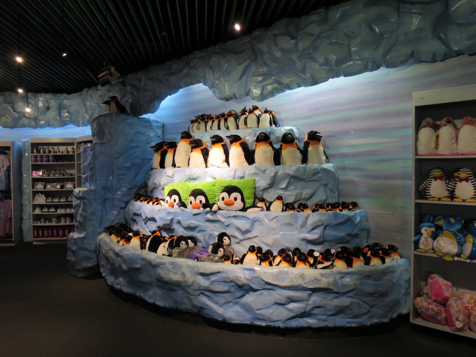 Penguin Encounter - Shop