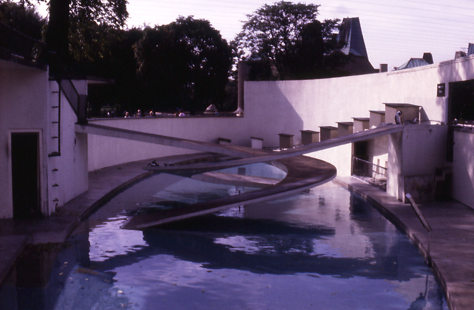 Penguin Exhibit - 1982