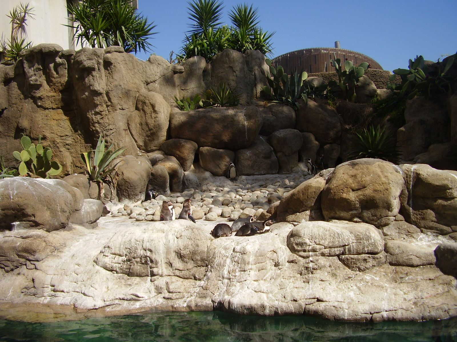 Penguin Exhibit - 2008