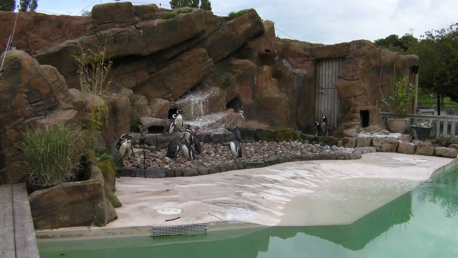 Penguin Exhibit - 26.08.2011