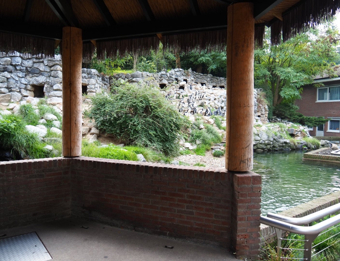 Penguin exhibit and viewing shelter (Sep 16th, 2018)